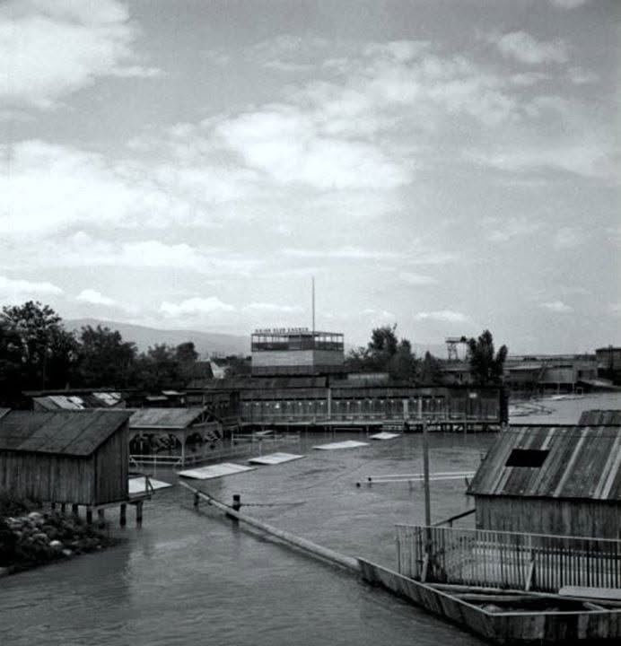 Gradsko kupalište na Savi 1950. godine